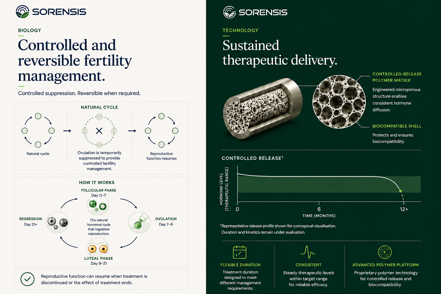 Sorensis reproductive cycle infographic — cycle, control, impact